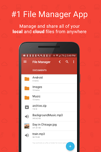 Download File Manager